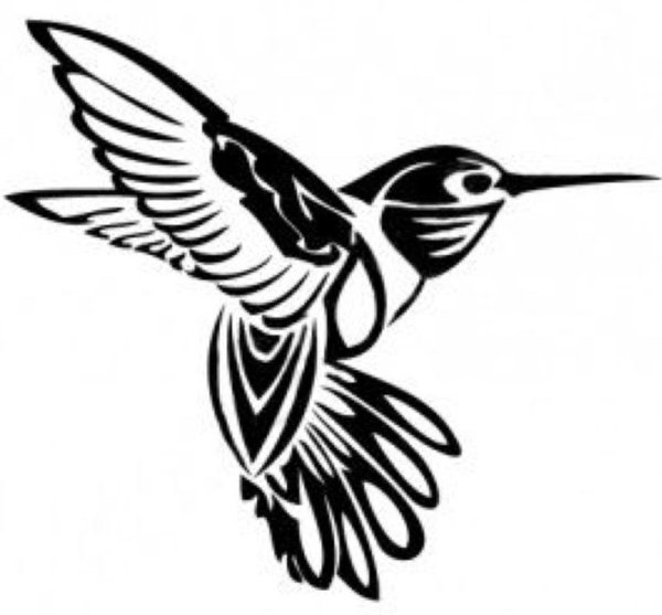Трафареты птиц Колибри