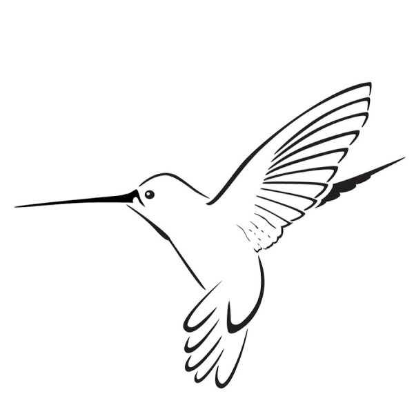 Контур птички Колибри