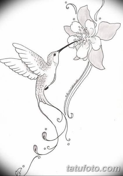 Трафарет Колибри и цветок