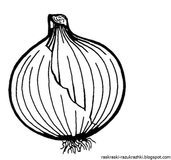 Лук раскраска для детей