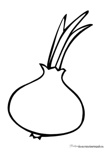 Лук картинка для детей раскраска