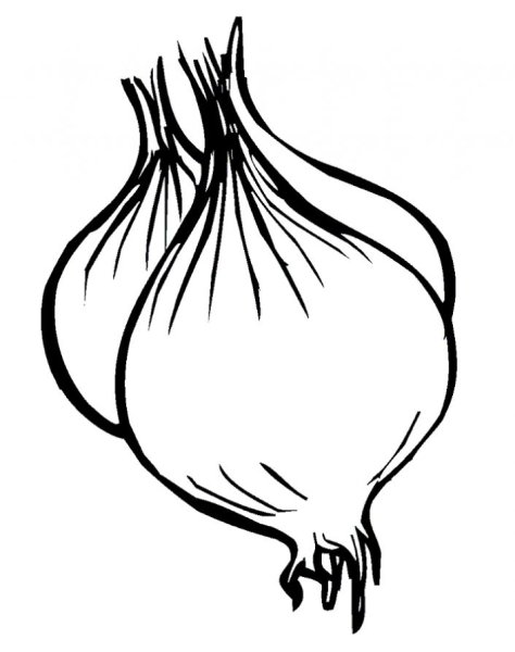 Лук раскраска для детей