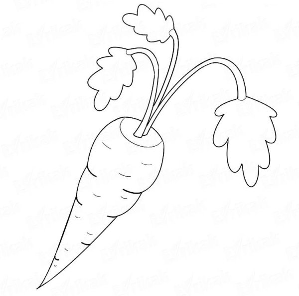 Луг раскраска