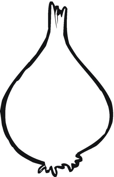 Лук раскраска для детей