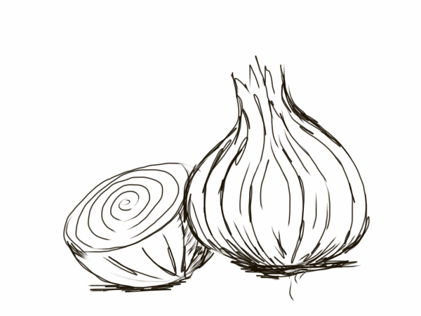 Лук раскраска для детей