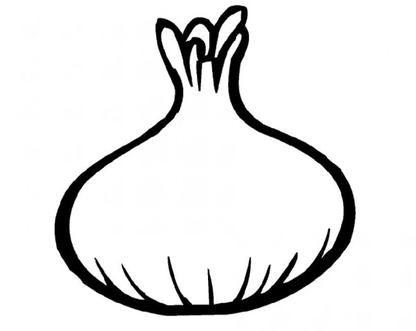 Раскраска зеленый лук