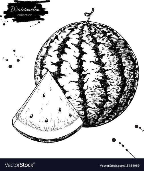 Раскраска Арбуз и дыня