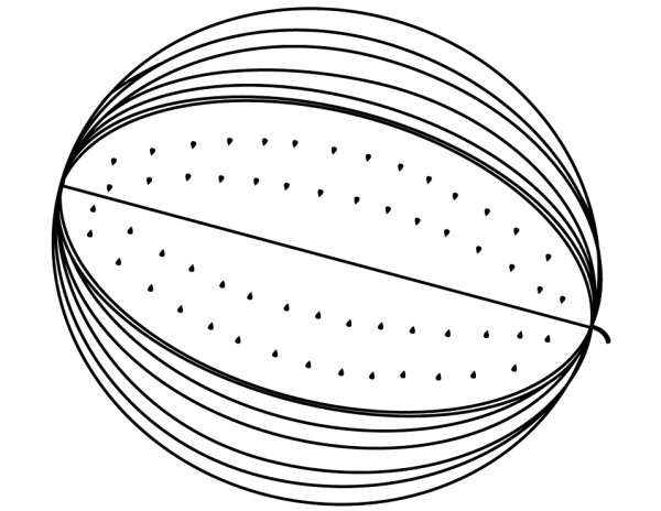 Арбуз раскраска