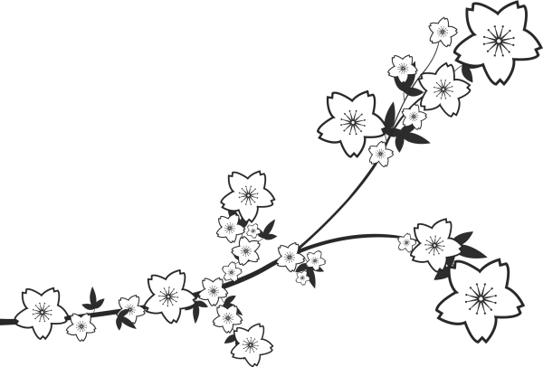 Ветка Сакуры