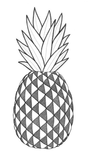 Ананас черно белый