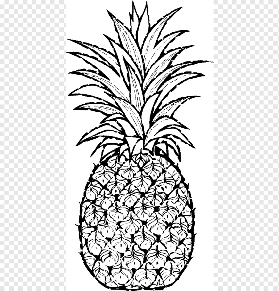 Ананас раскраска вектор