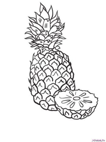 Фрукты карандашом ананас