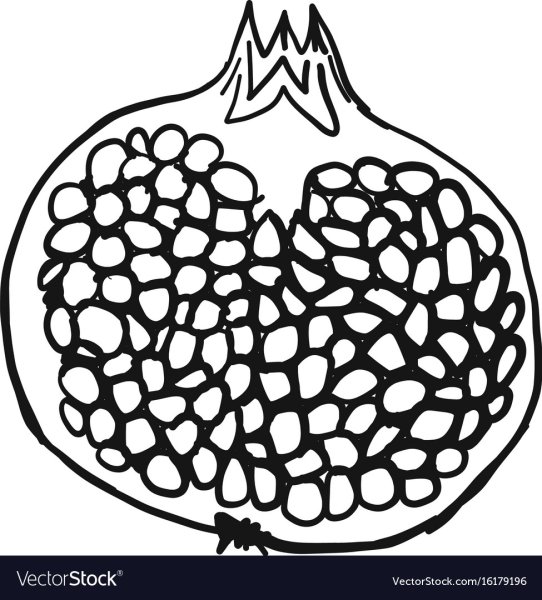 Гранат раскраска