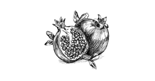 Гранат рисунок