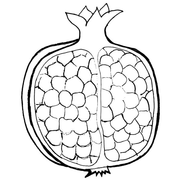 Гранат раскраска для детей