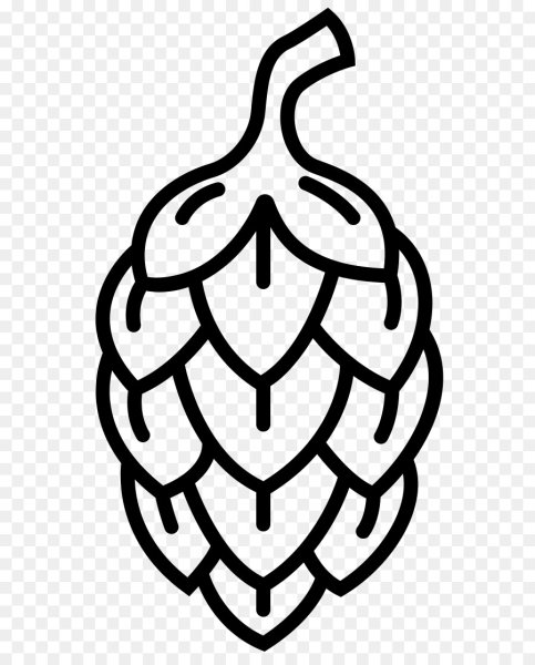 Шишки раскраска для детей