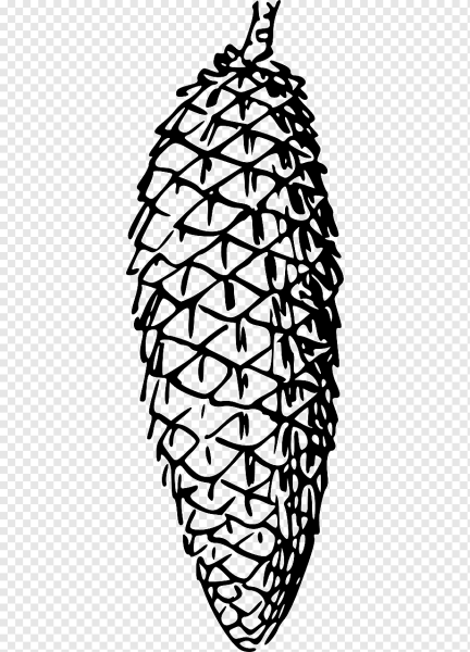 Шишки для раскрашивания