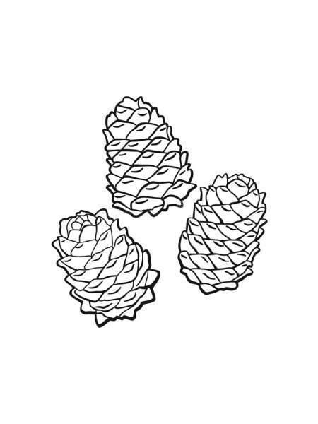 Шишка контур