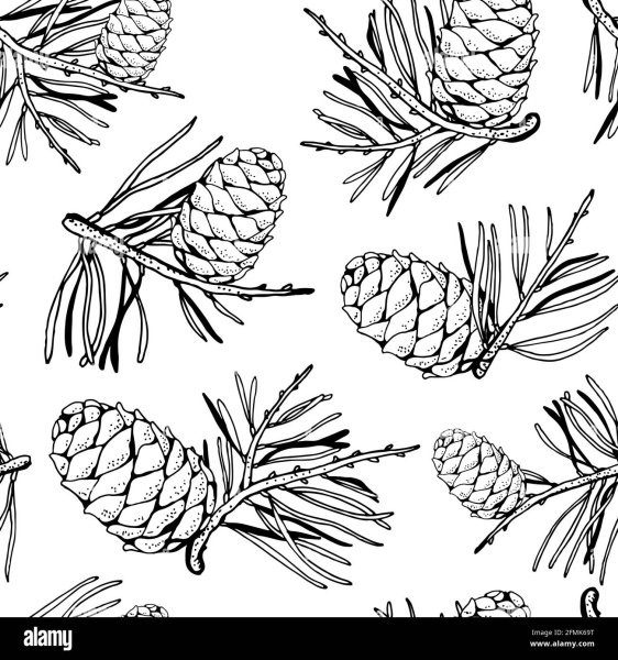 Шишка силуэт