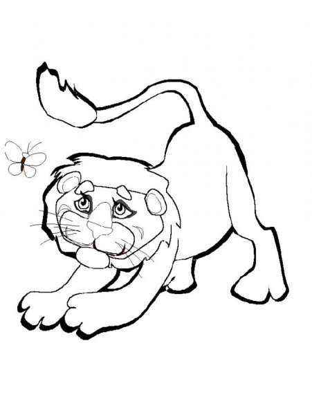 Раскраски львы и львята