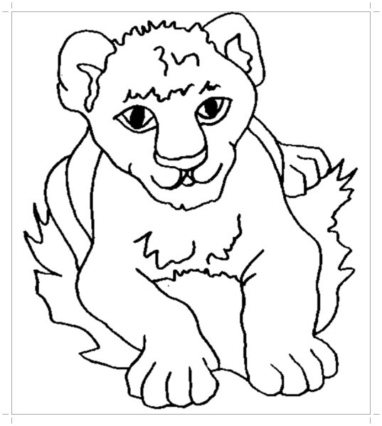 Раскраски львы и львята
