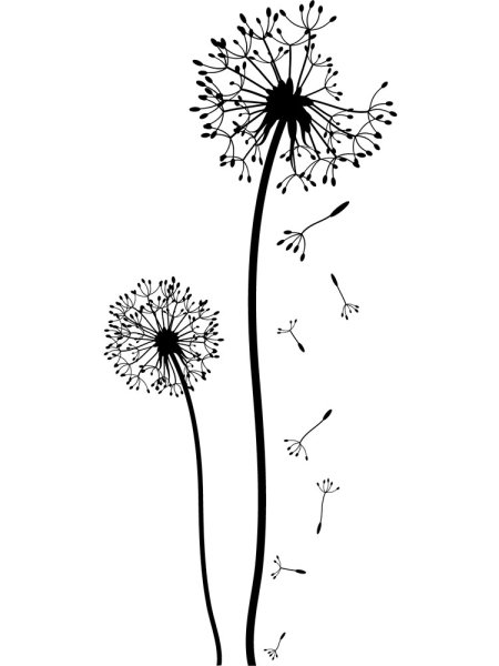 Одуванчик Графика