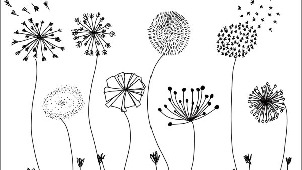 Стилизованные одуванчики