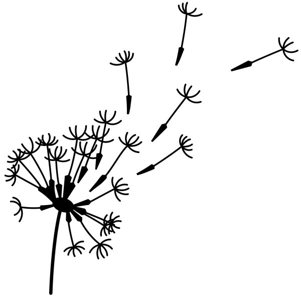 Контур одуванчика для детей