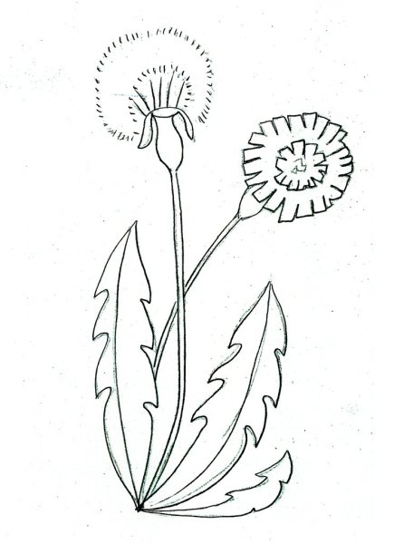 Мать и мачеха раскраска