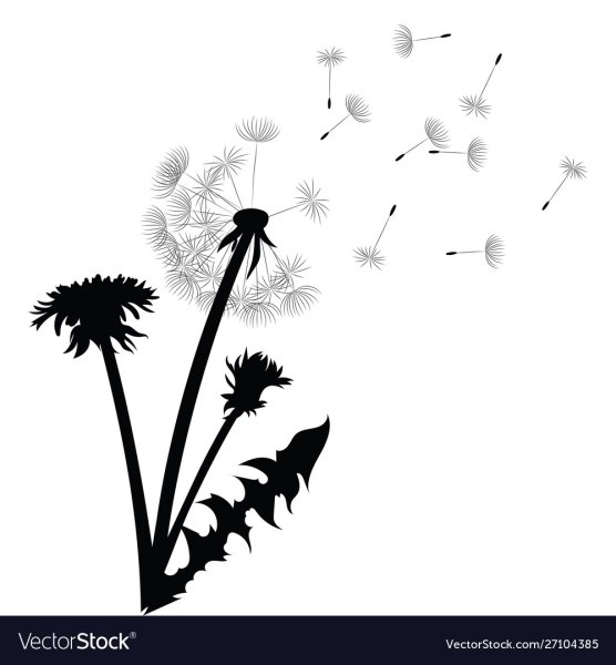 Трава силуэт