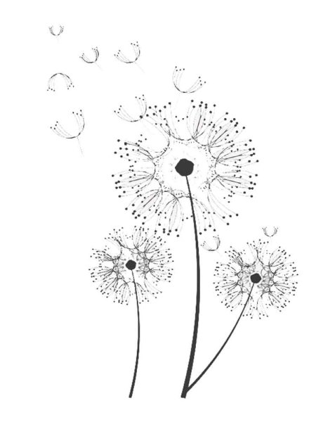 Одуванчик черно белый для детей