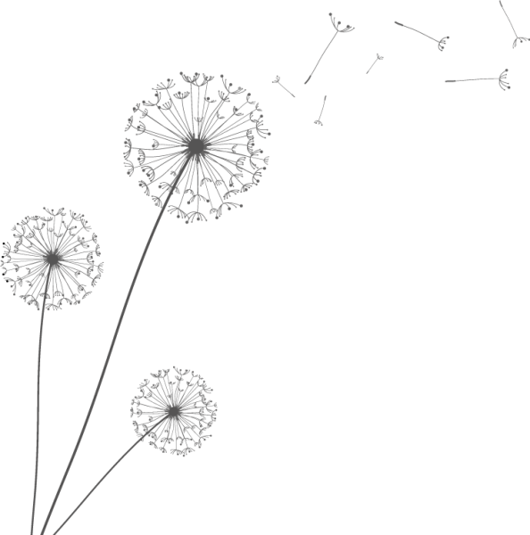Одуванчик стилизация контура