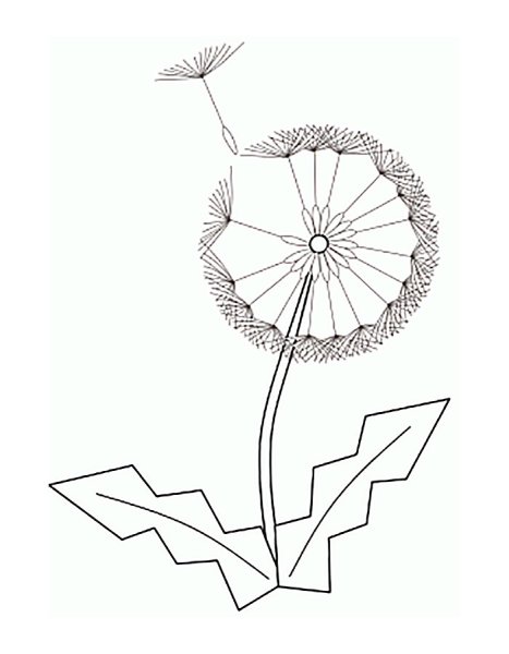 Одуванчики рисунок на одежде