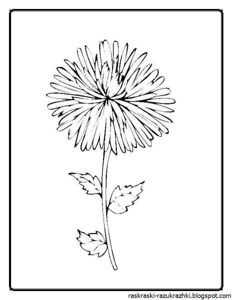 Одуванчик силуэт