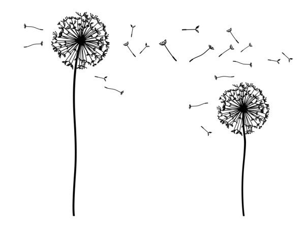 Одуванчики эскизы для вышивания