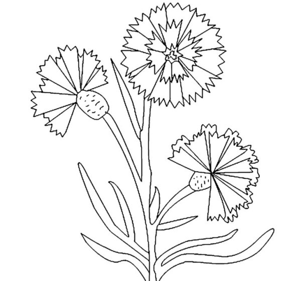 Одуванчик раскраска для малышей