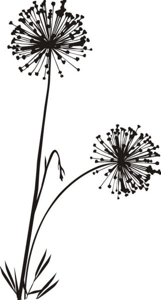 Стилизованные одуванчики