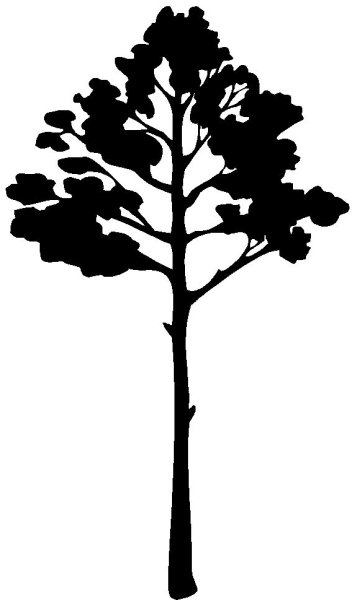 Елка дерево контур