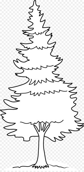 Сосна для раскрашивания