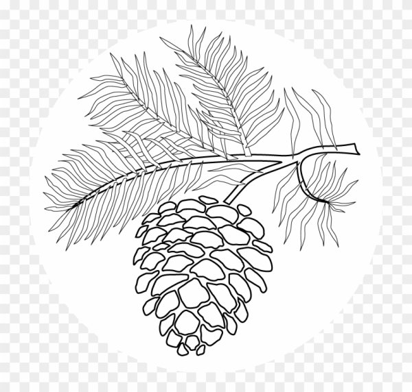 Дерево раскраска