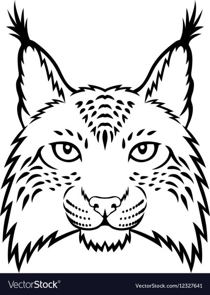 Рысь раскраска
