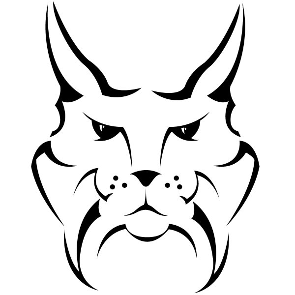 Рысь контурный рисунок для детей