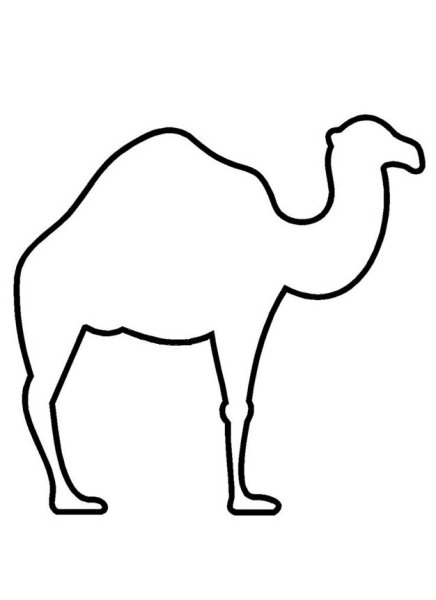 Одногорбый верблюд контур