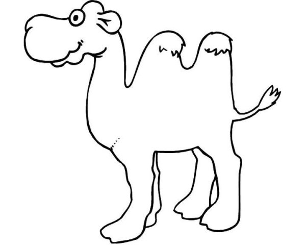Верблюд трафарет