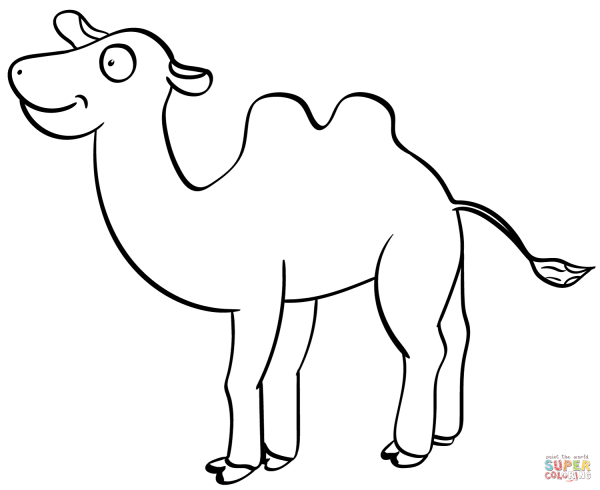 Верблюд раскраска