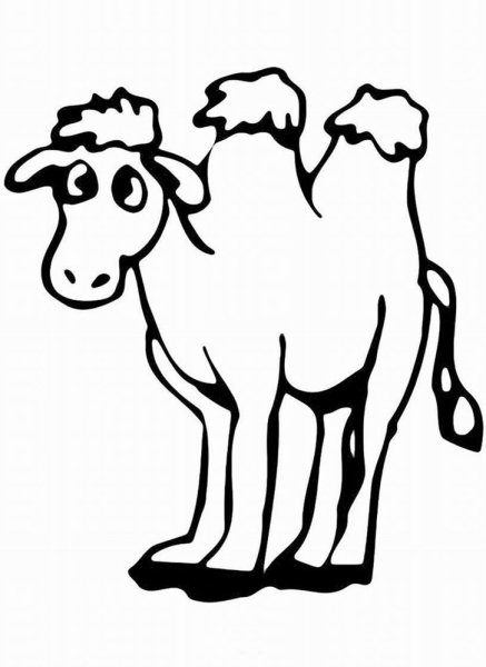 Верблюд карандашом