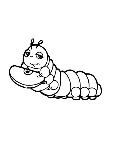 Гусеница и бабочка раскраска