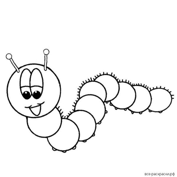 Гусеница контур