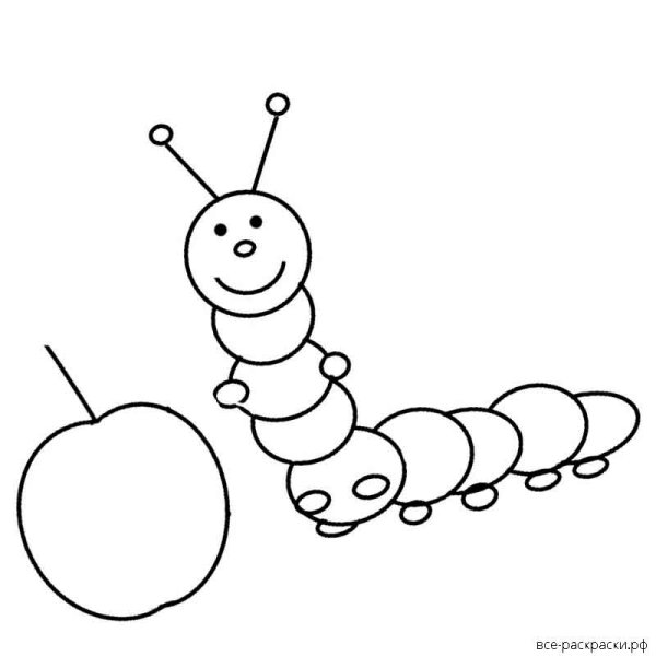 Гусеница раскраска для детей