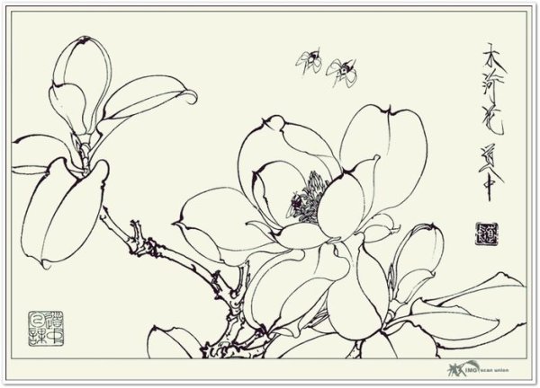 Китайская живопись Магнолия гунби